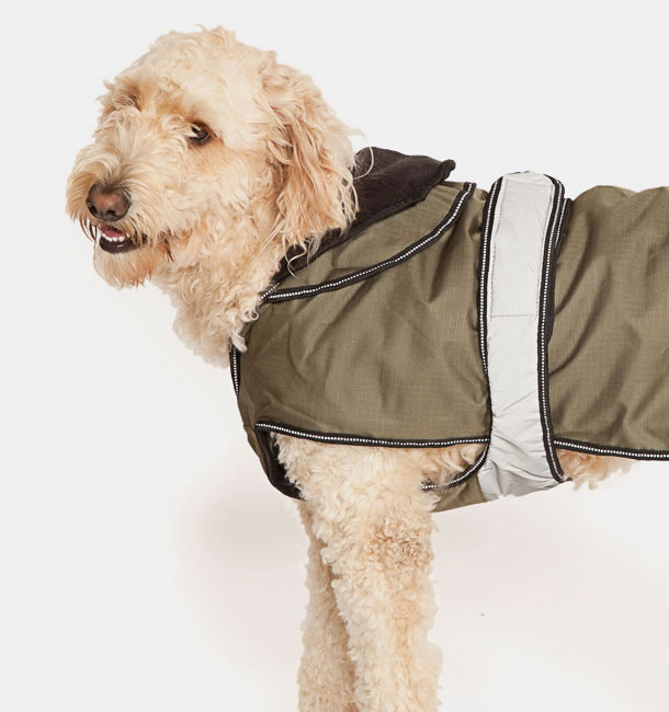 Ultimate 2 in 1 Dog Coat