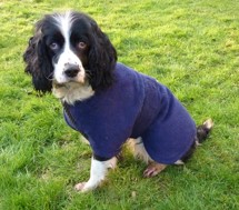 Dog Drying Coats