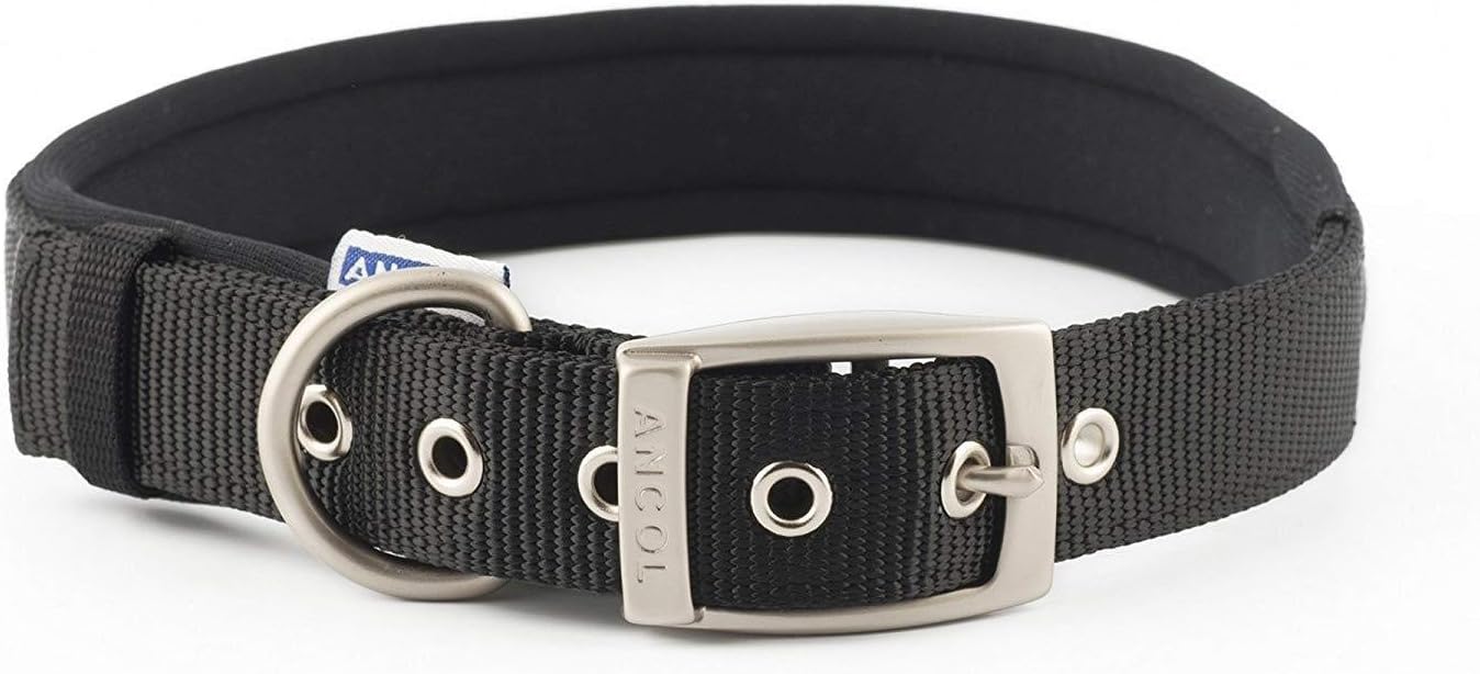 Nylon Padded Dog Collar