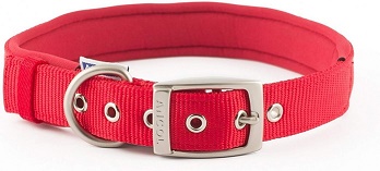 Flat Nylon Collars