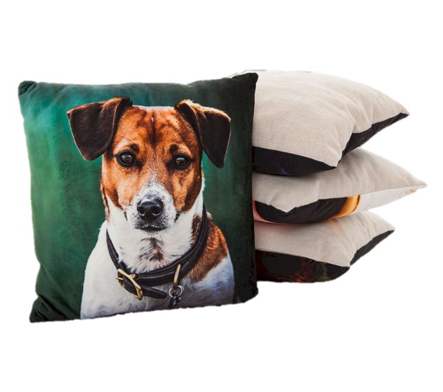 Jack Russell Scene Cushion