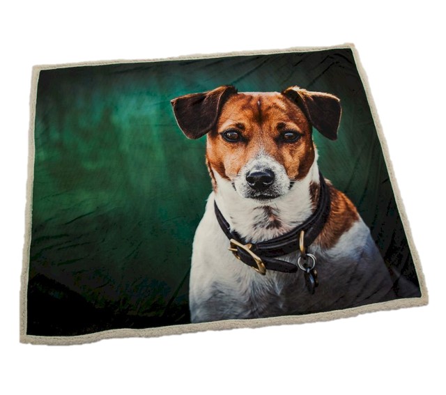 Jack Russell Scene Throw