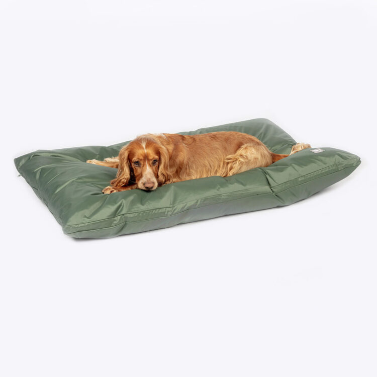 County Waterproof Deep Dog Duvet