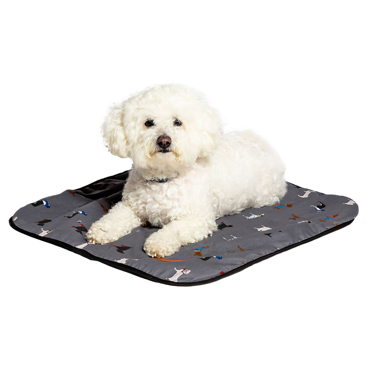 FatFace Marching Dogs Pattern Dog Blanket