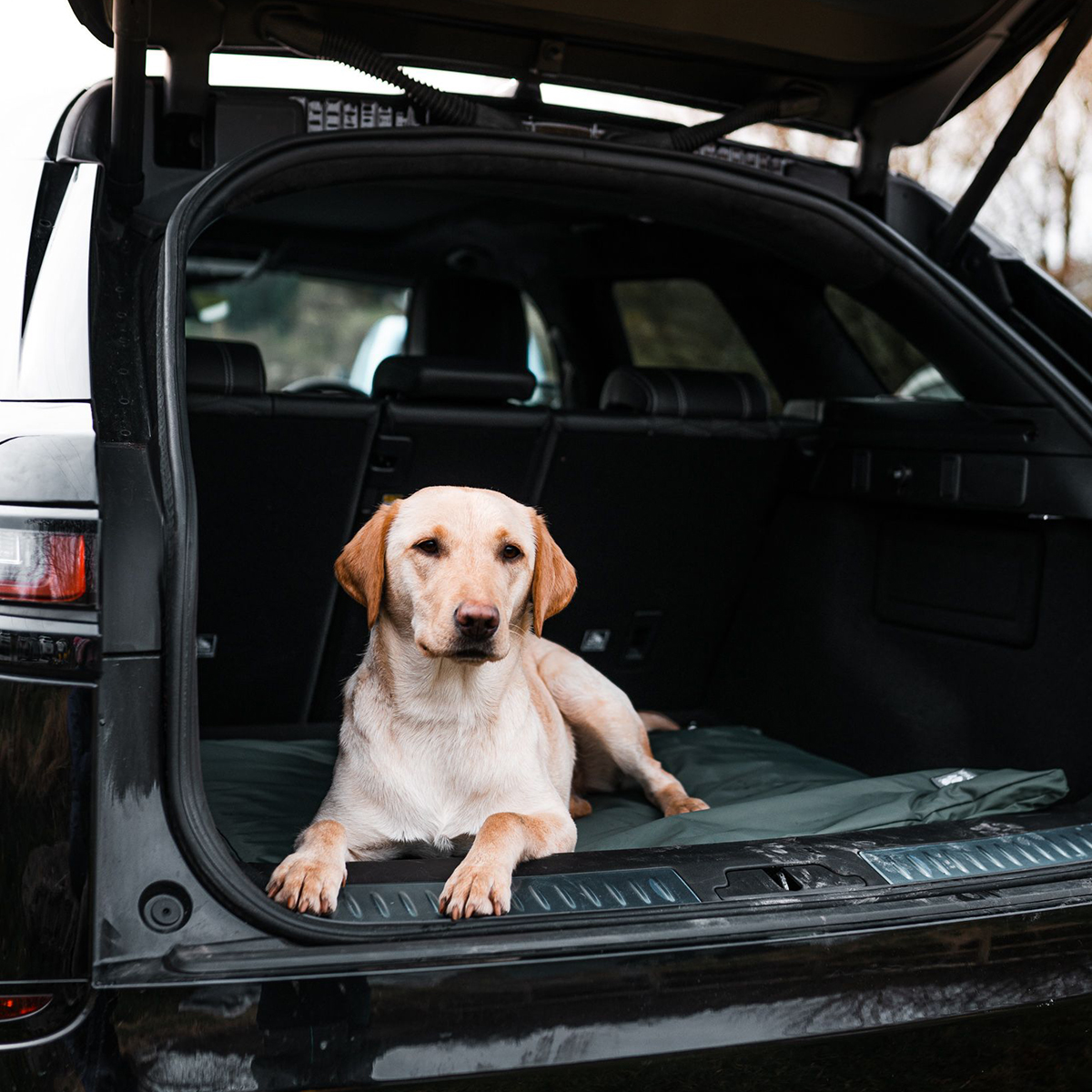 County Waterproof Standard Dog Duvet