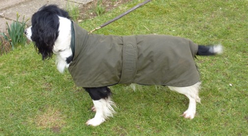 All Seasons Wax 2in1 Dog Coat