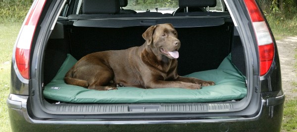 County Waterproof Standard Dog Duvet