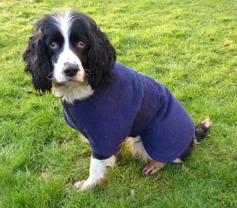 Dog Drying Coat