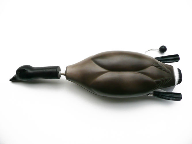 Canadian Goose Dead Fowl Trainer