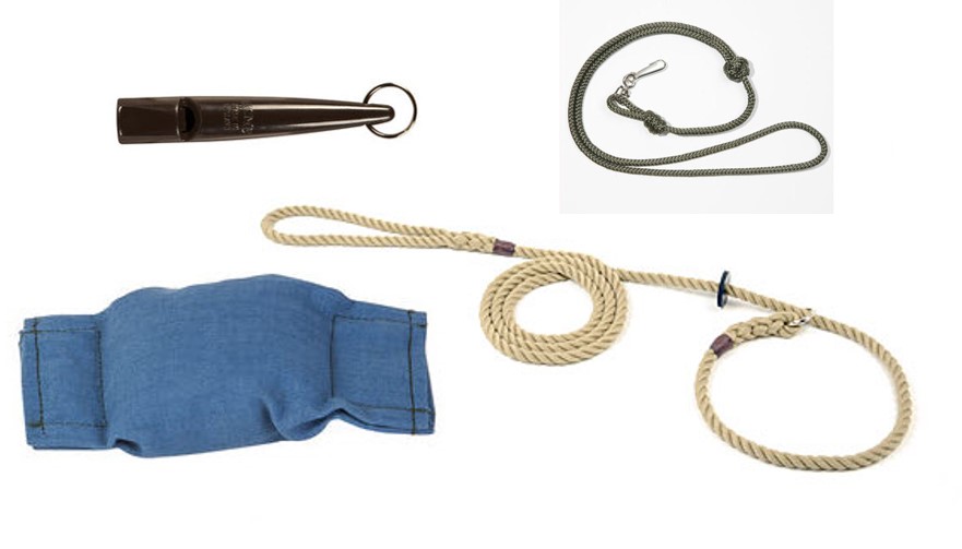 Gundog Puppy Training Starter Kit 