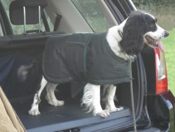 Heavy Weather Waterproof Dog Coat