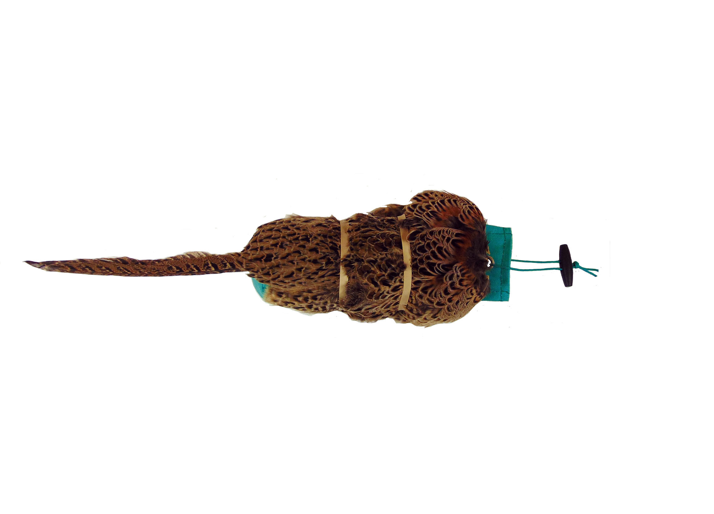 1lb Hen Pheasant pelt Gundog Training Dummy