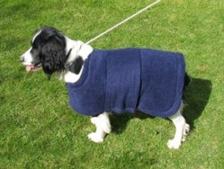 Dog Hydrotherapy Drying Coats