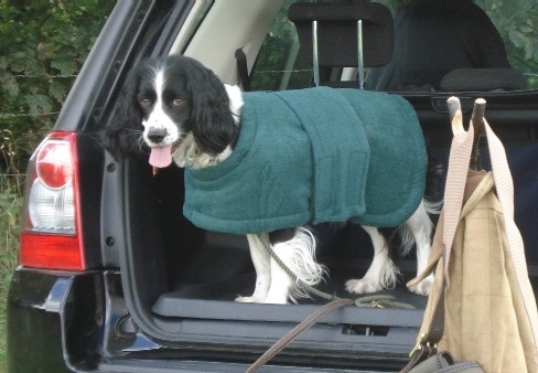 Gundog Towelling Coat