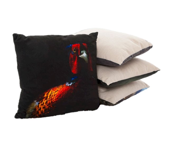 Pheasant Scene Cushion